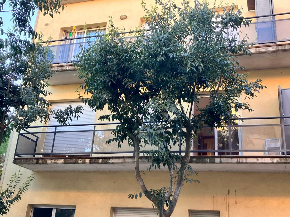 à vendre appartement Palafrugell Baix Empordà 2