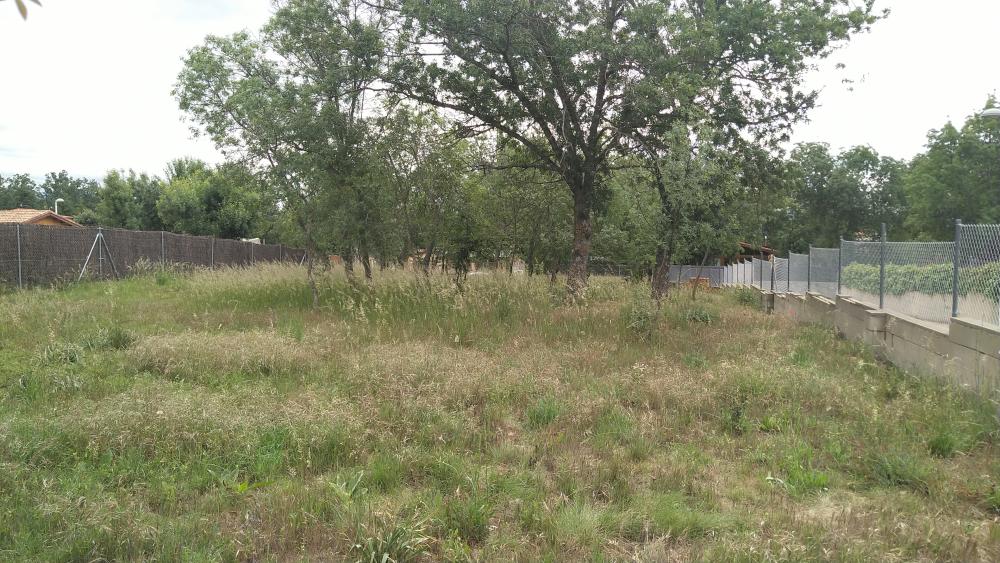  à vendre terrain Villavieja Del Lozoya Sierra Norte 4