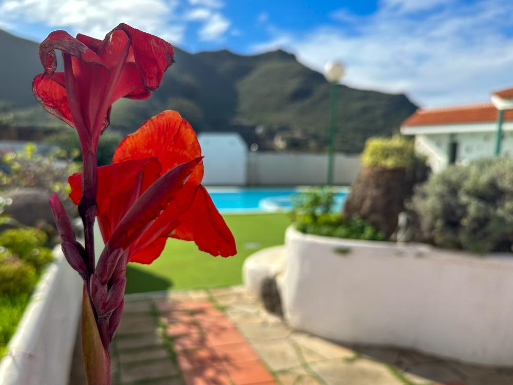  à vendre maison de campagne El Socorro Zona Metropolitana 24