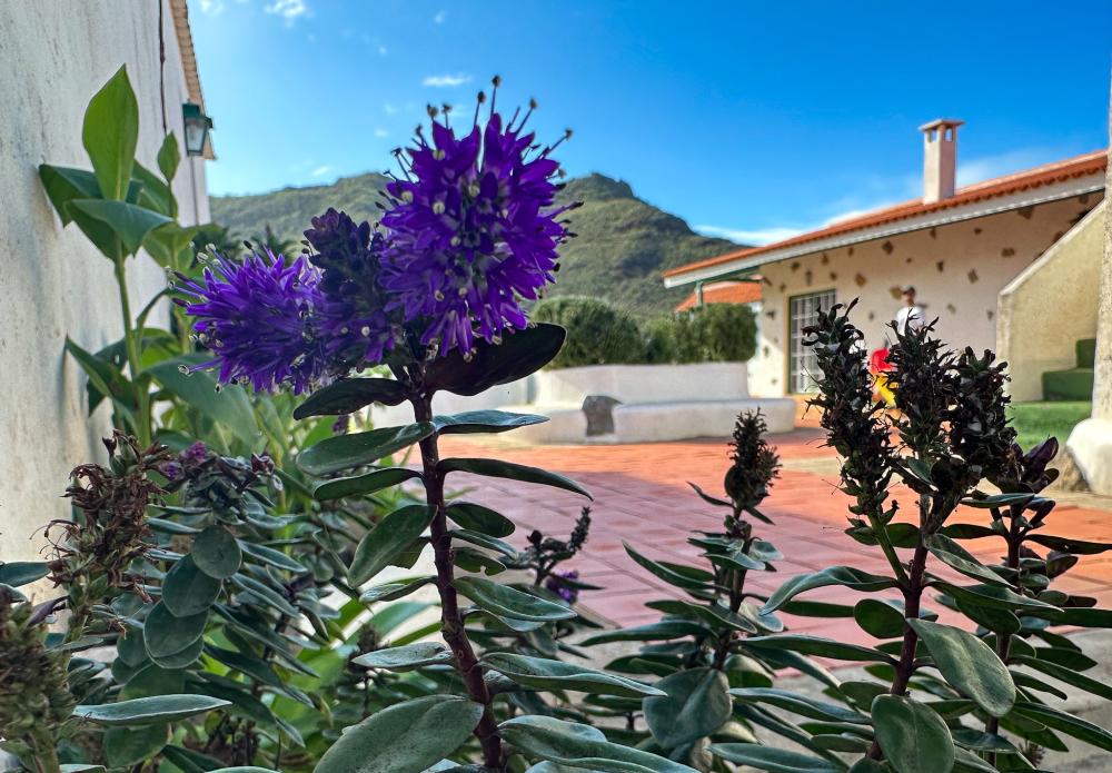  à vendre maison de campagne El Socorro Zona Metropolitana 22