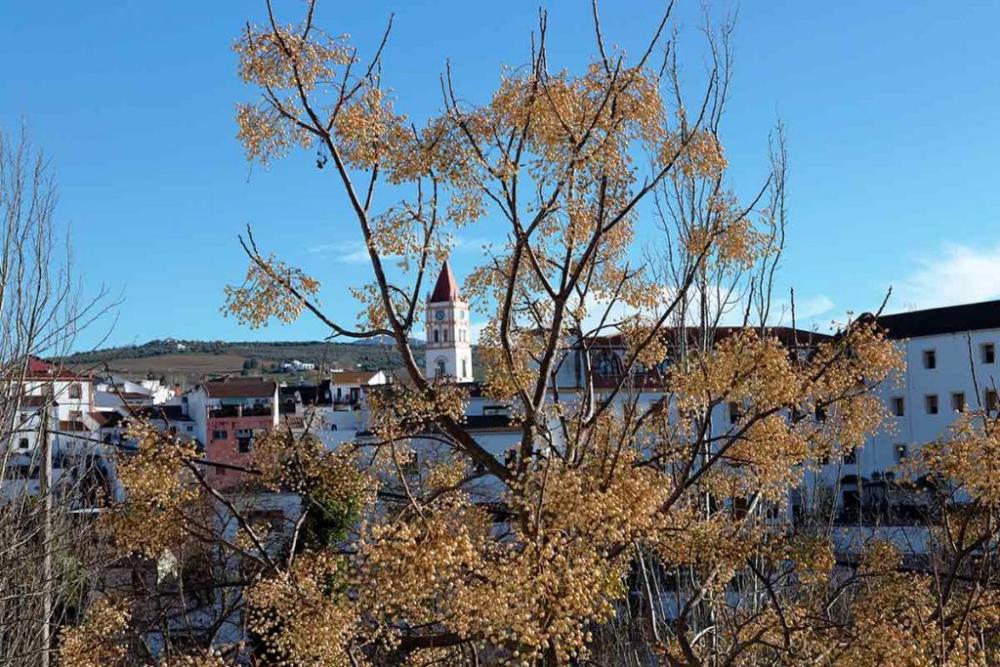  à vendre villa Arriate Serranía De Ronda 50