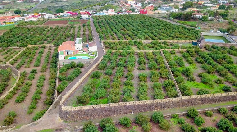  à vendre maison de campagne El Socorro Zona Metropolitana 4