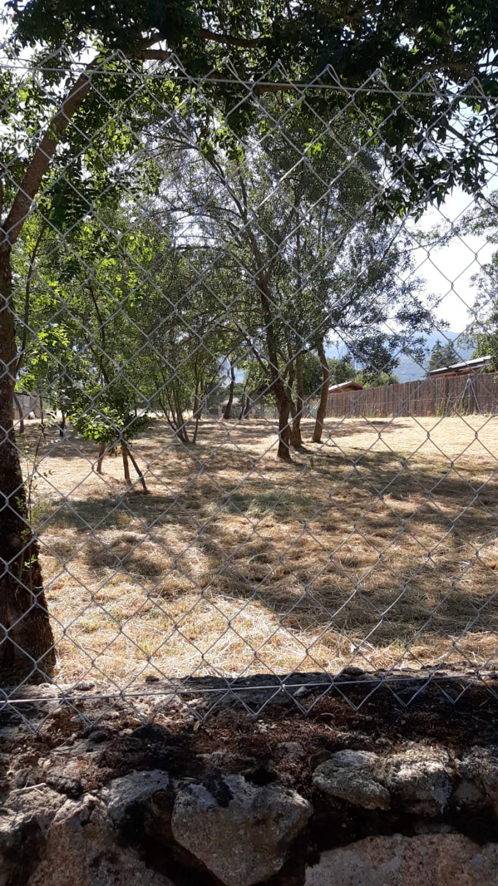  à vendre terrain Villavieja Del Lozoya Sierra Norte 7