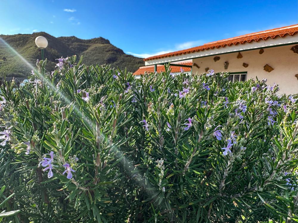  à vendre maison de campagne El Socorro Zona Metropolitana 21