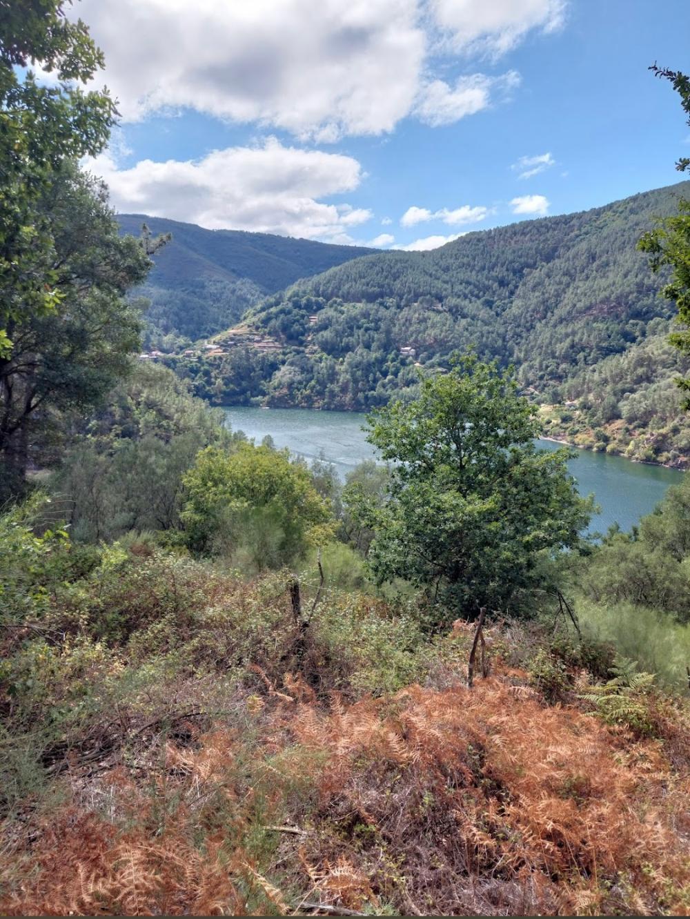  à vendre maison Serode Tierra De Lemos 8