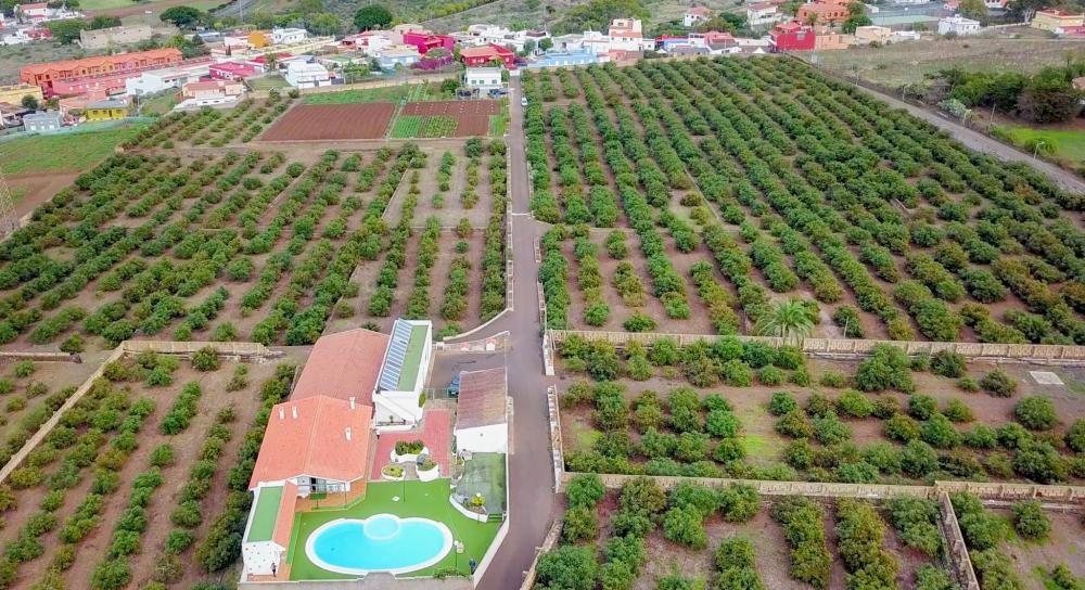  à vendre maison de campagne El Socorro Zona Metropolitana 6