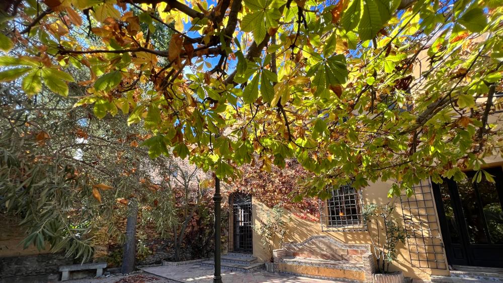  à vendre villa Biar Alt Vinalopó 19