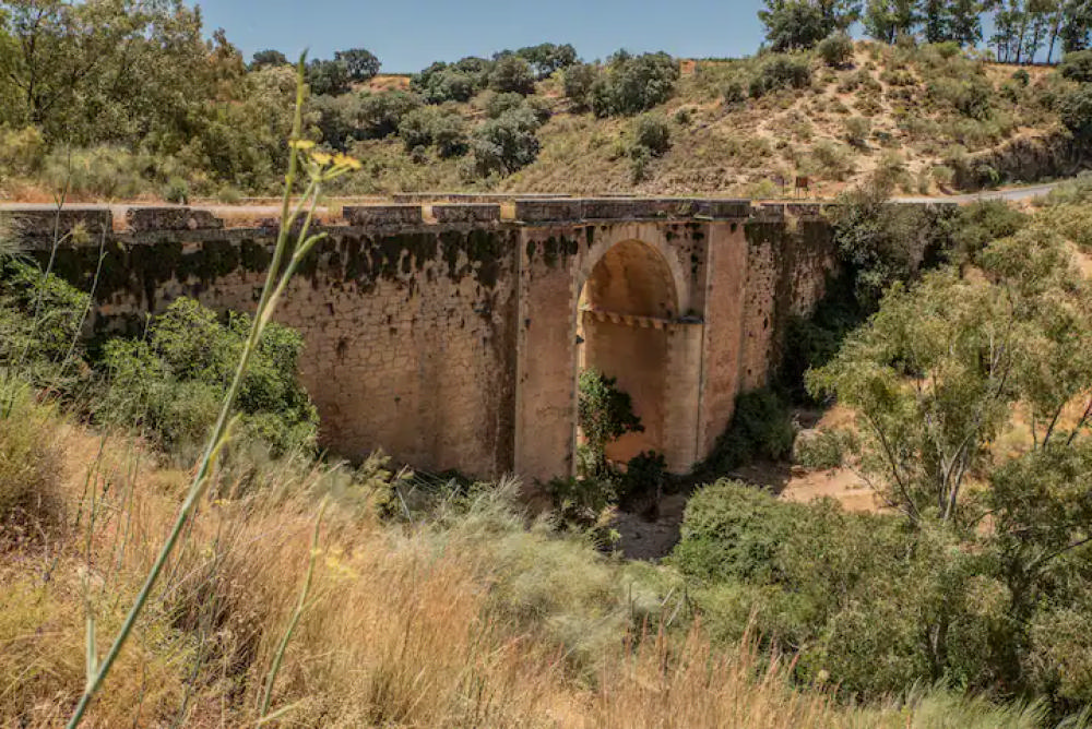  à vendre villa Arriate Serranía De Ronda 52