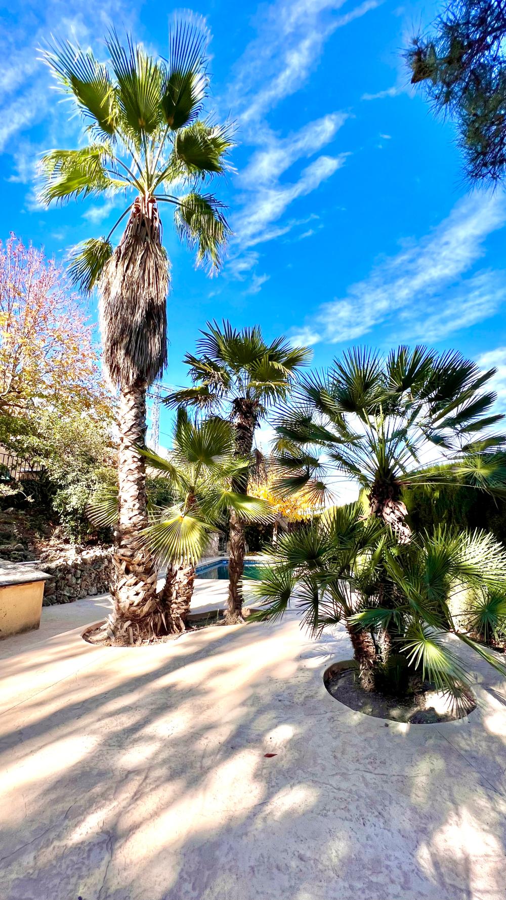  à vendre villa Biar Alt Vinalopó 29