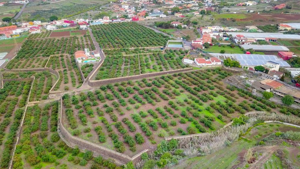  à vendre maison de campagne El Socorro Zona Metropolitana 9
