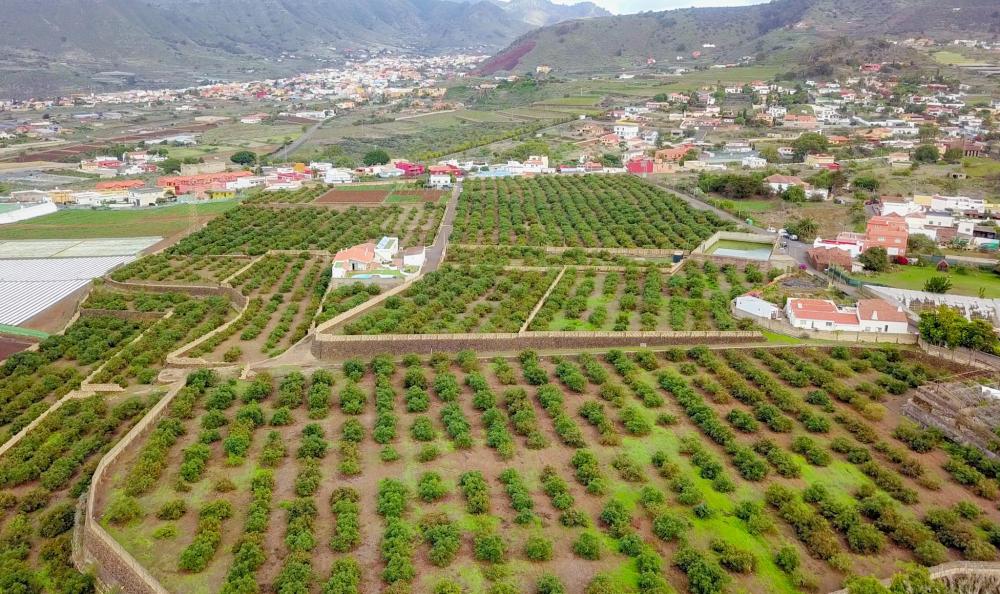  à vendre maison de campagne El Socorro Zona Metropolitana 7