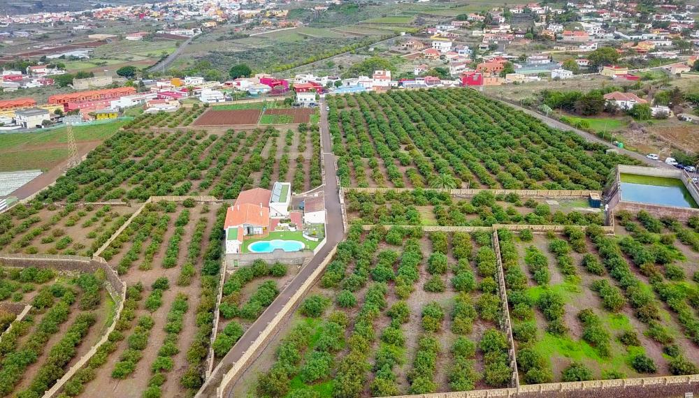 à vendre maison de campagne El Socorro Zona Metropolitana 11