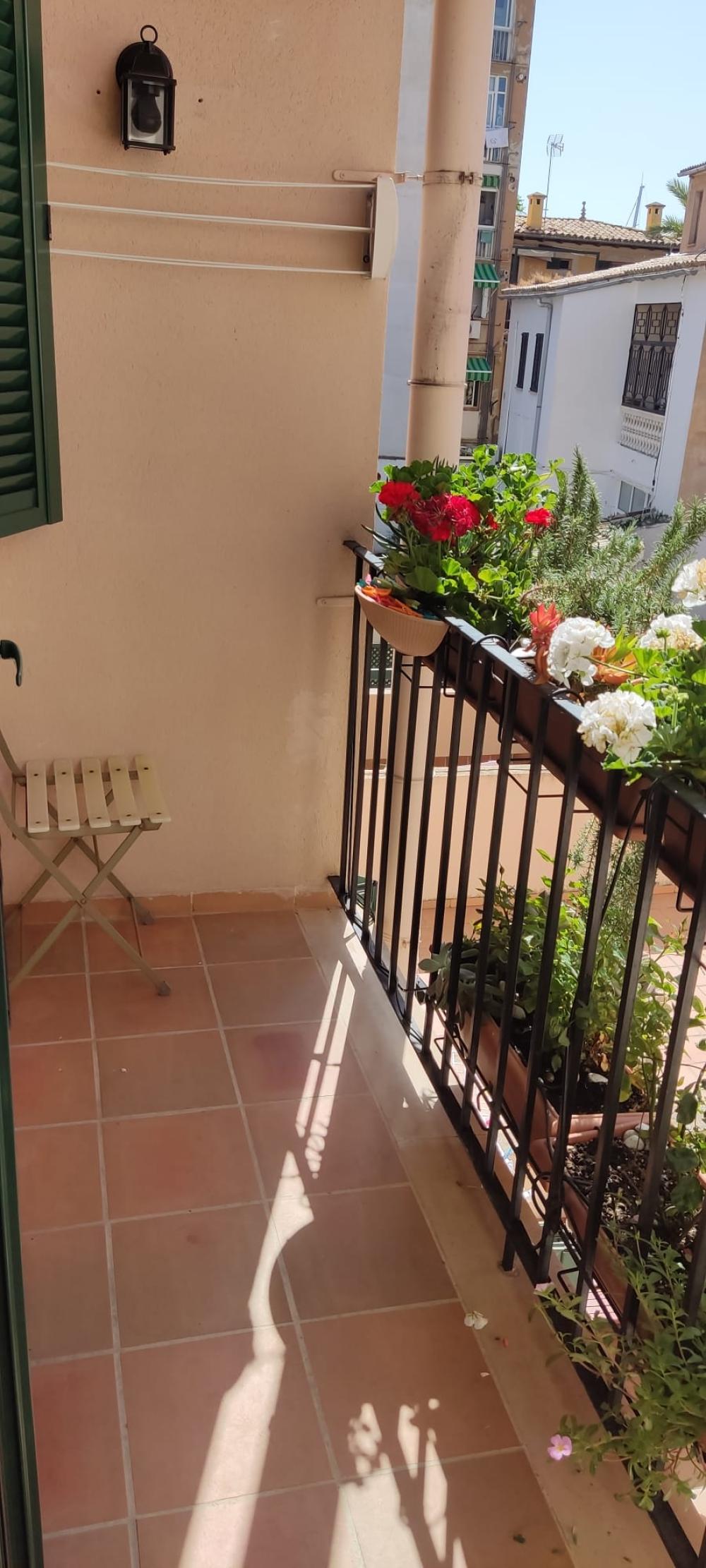  à vendre maison jumelée Son Armadams-El Terreno Palma 4