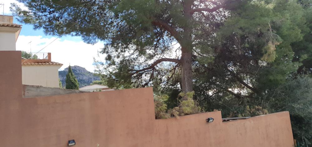  à vendre villa Benicasim Plana Alta 51