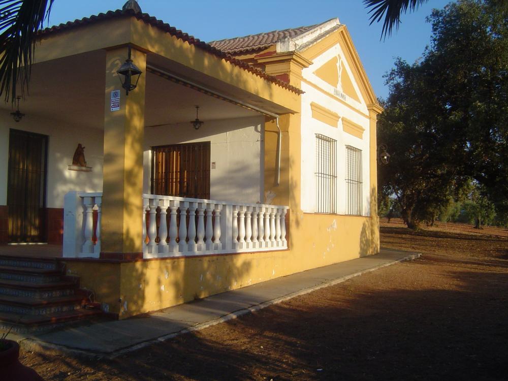  à vendre maison de campagne Almendralejo Tierra De Barros 3