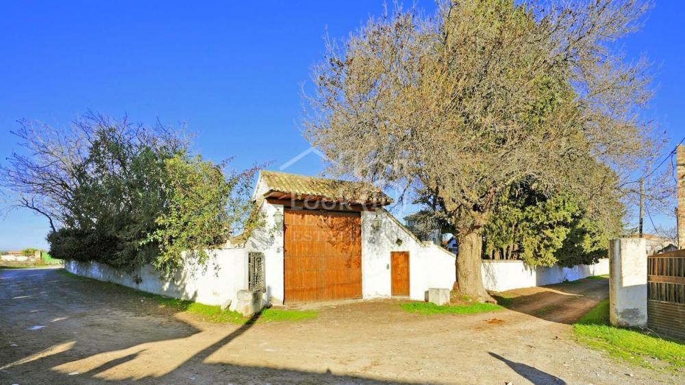  à vendre maison de campagne Ronda Vega De Granada 4