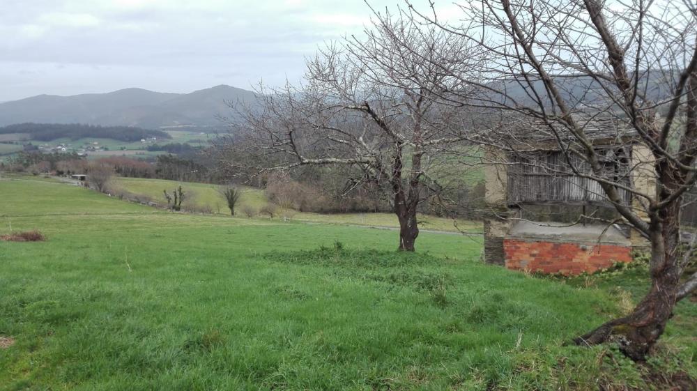  à vendre maison de campagne Cabarcos Mariña Oriental 14