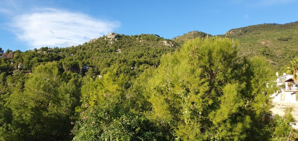  à vendre villa Benicasim Plana Alta 40