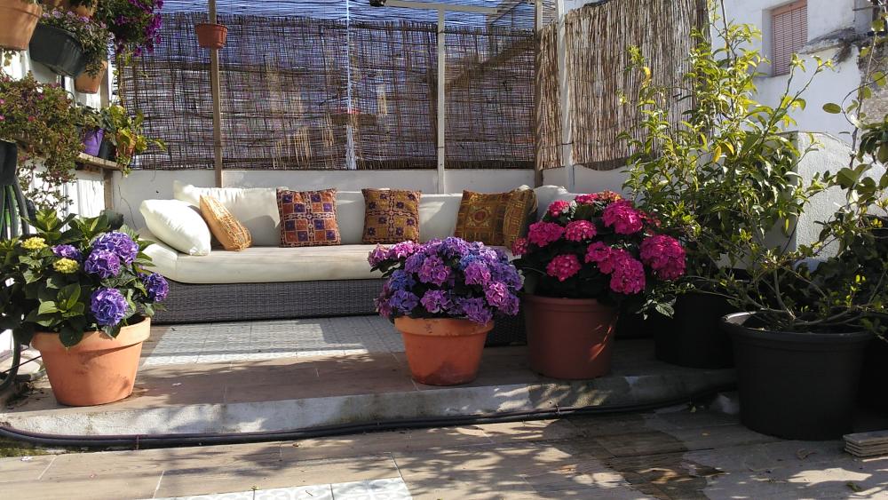  à vendre maison Vejer De La Frontera Janda (La) 3