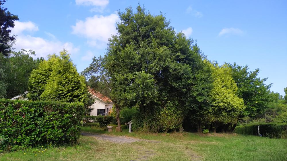  à vendre maison A Brixeria Bergantiños 27