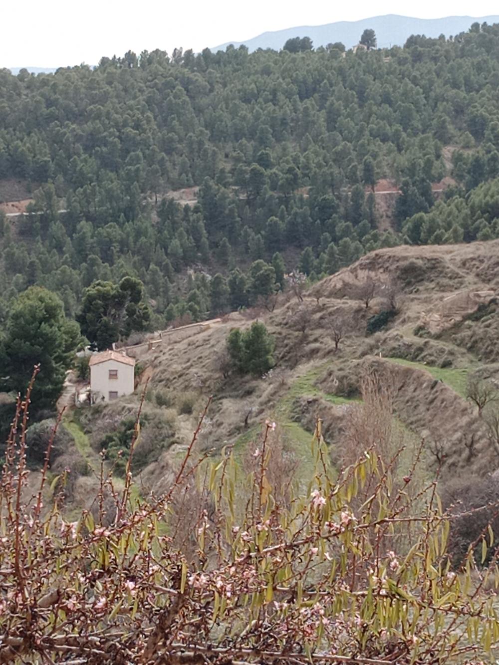  à vendre maison de campagne Vélez Blanco Comarca De Los Vélez 6