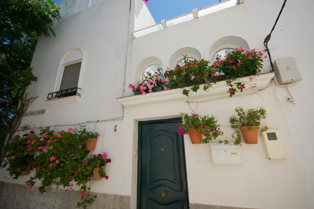  à vendre maison Vejer De La Frontera Janda (La) 12