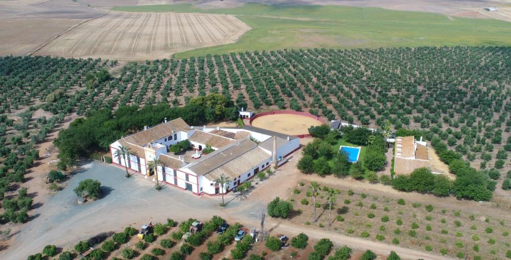  à vendre villa Carmona Campiña De Carmona 2