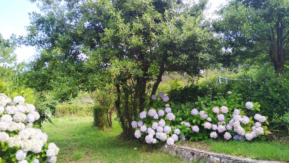  à vendre maison A Brixeria Bergantiños 31