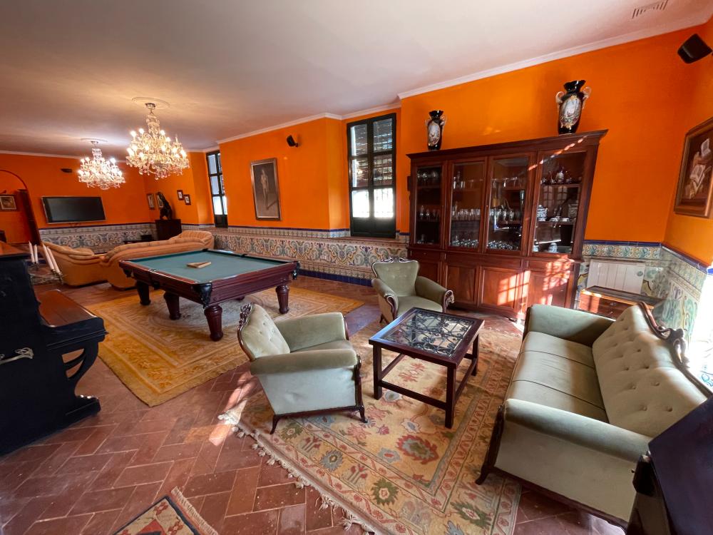  à vendre villa Carmona Campiña De Carmona 6