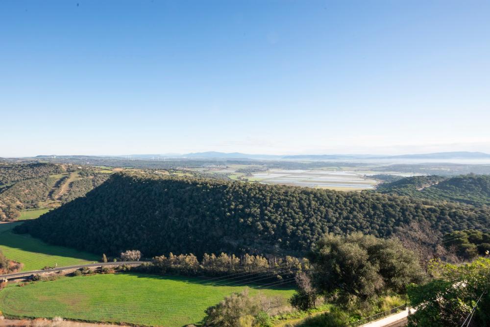  à vendre maison Vejer De La Frontera Janda (La) 8