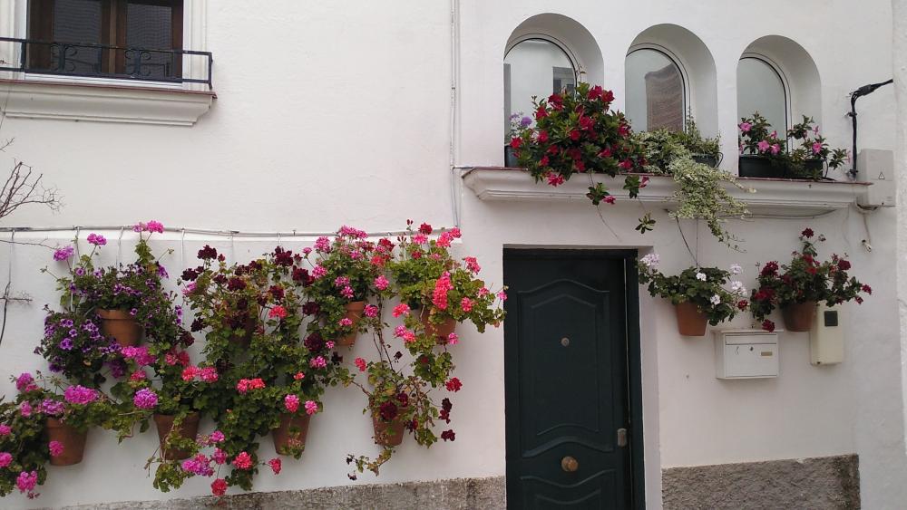  à vendre maison Vejer De La Frontera Janda (La) 14