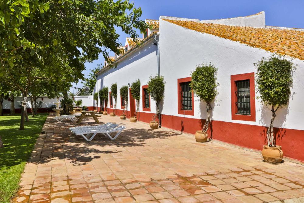  à vendre villa Carmona Campiña De Carmona 14