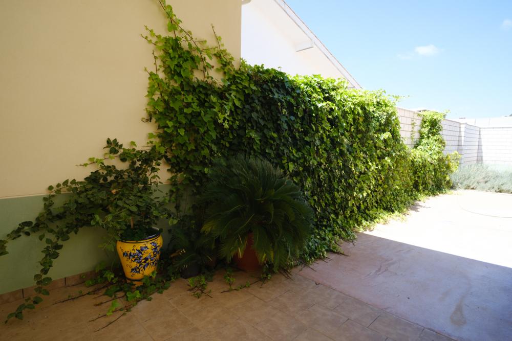  à vendre villa Peñarroya-Pueblonuevo Valle Del Guadiato 16