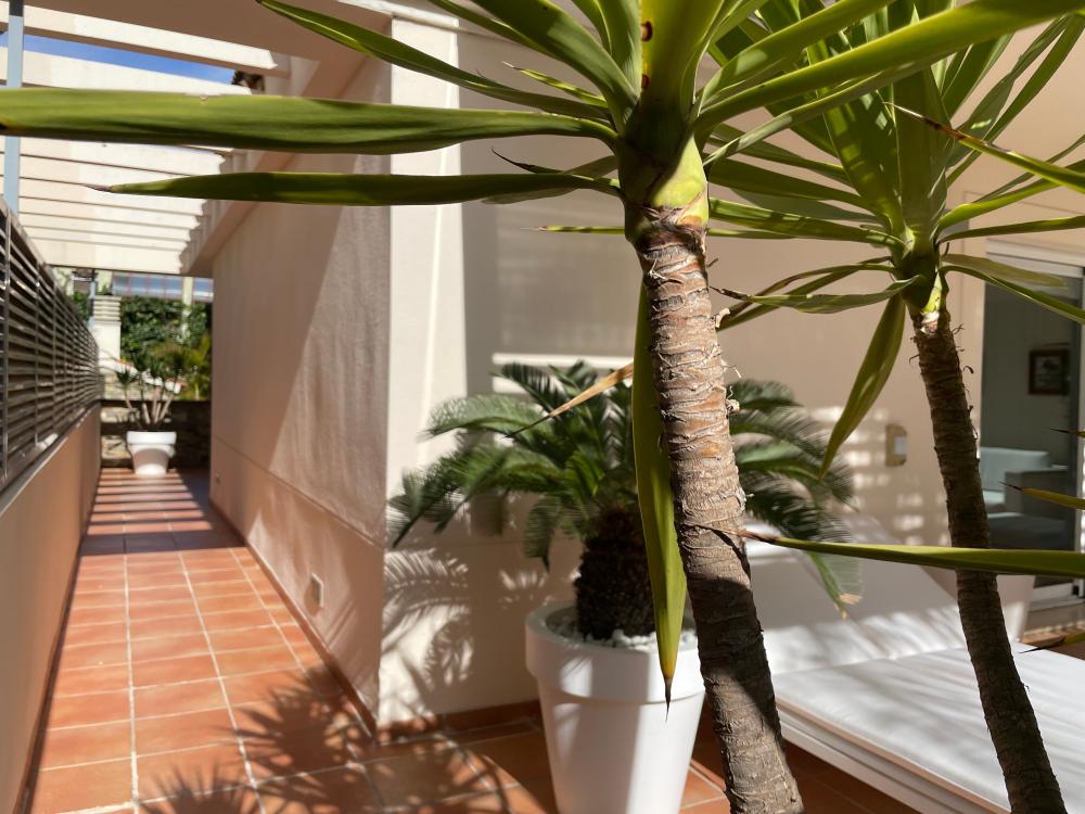  à vendre villa Paterna Horta Oest 12