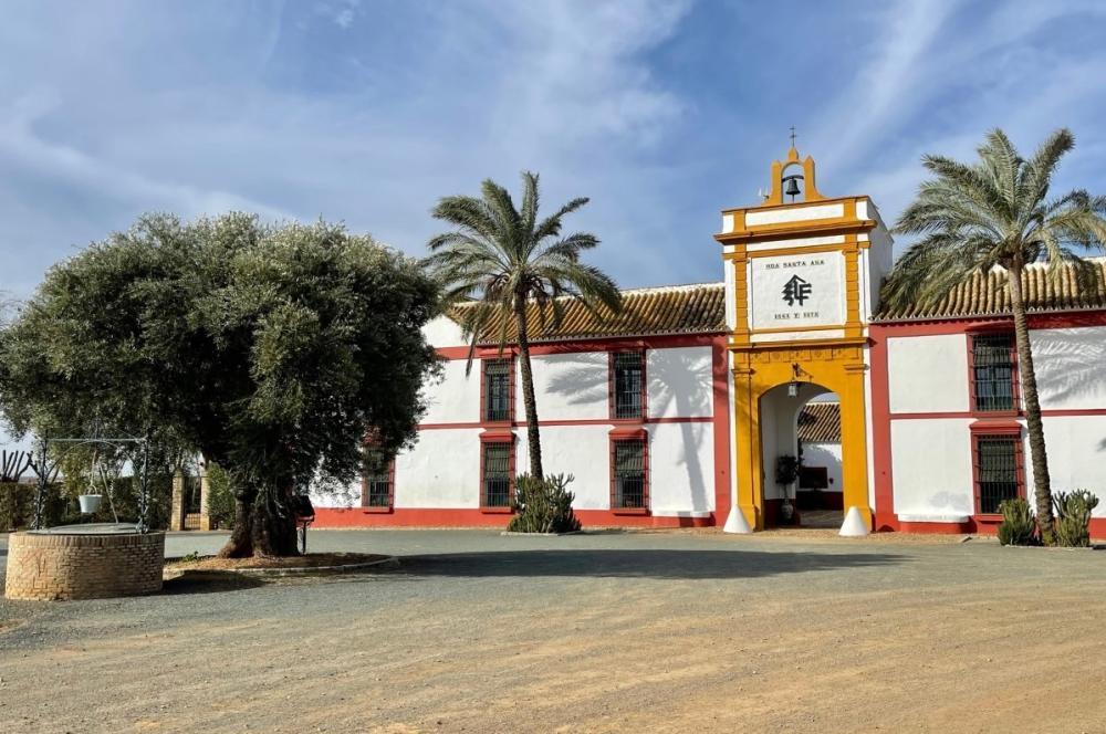 à vendre villa Carmona Campiña De Carmona 1