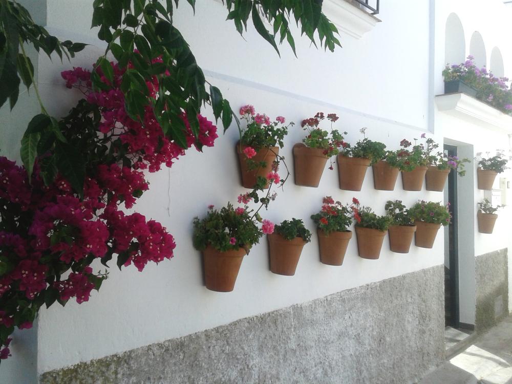  à vendre maison Vejer De La Frontera Janda (La) 13