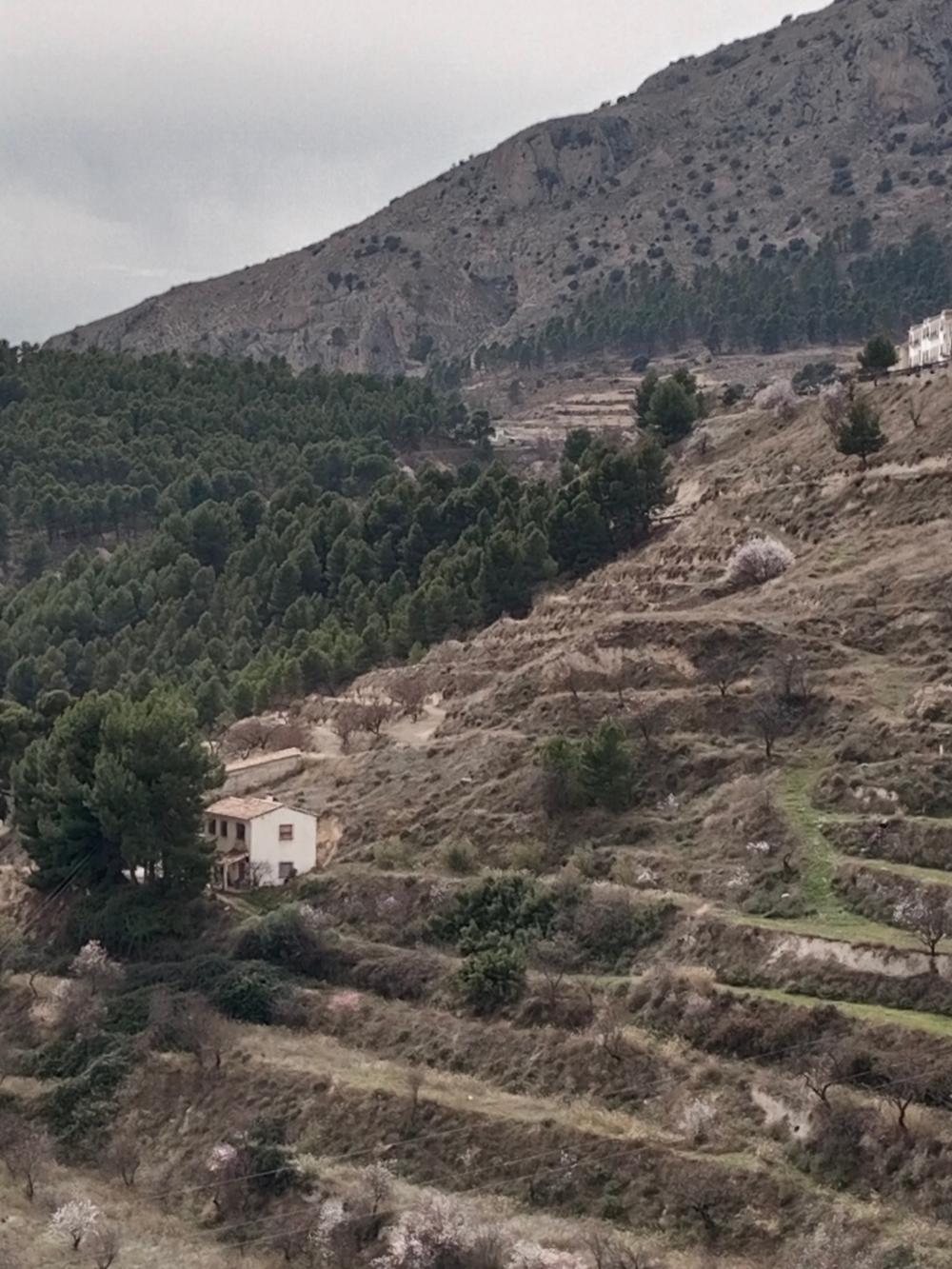  à vendre maison de campagne Vélez Blanco Comarca De Los Vélez 4
