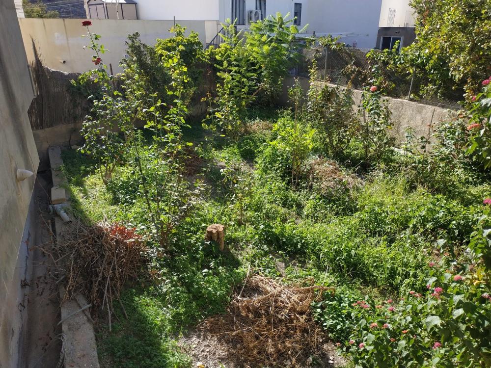  à vendre maison Vélez De Benaudalla Costa Tropical 13