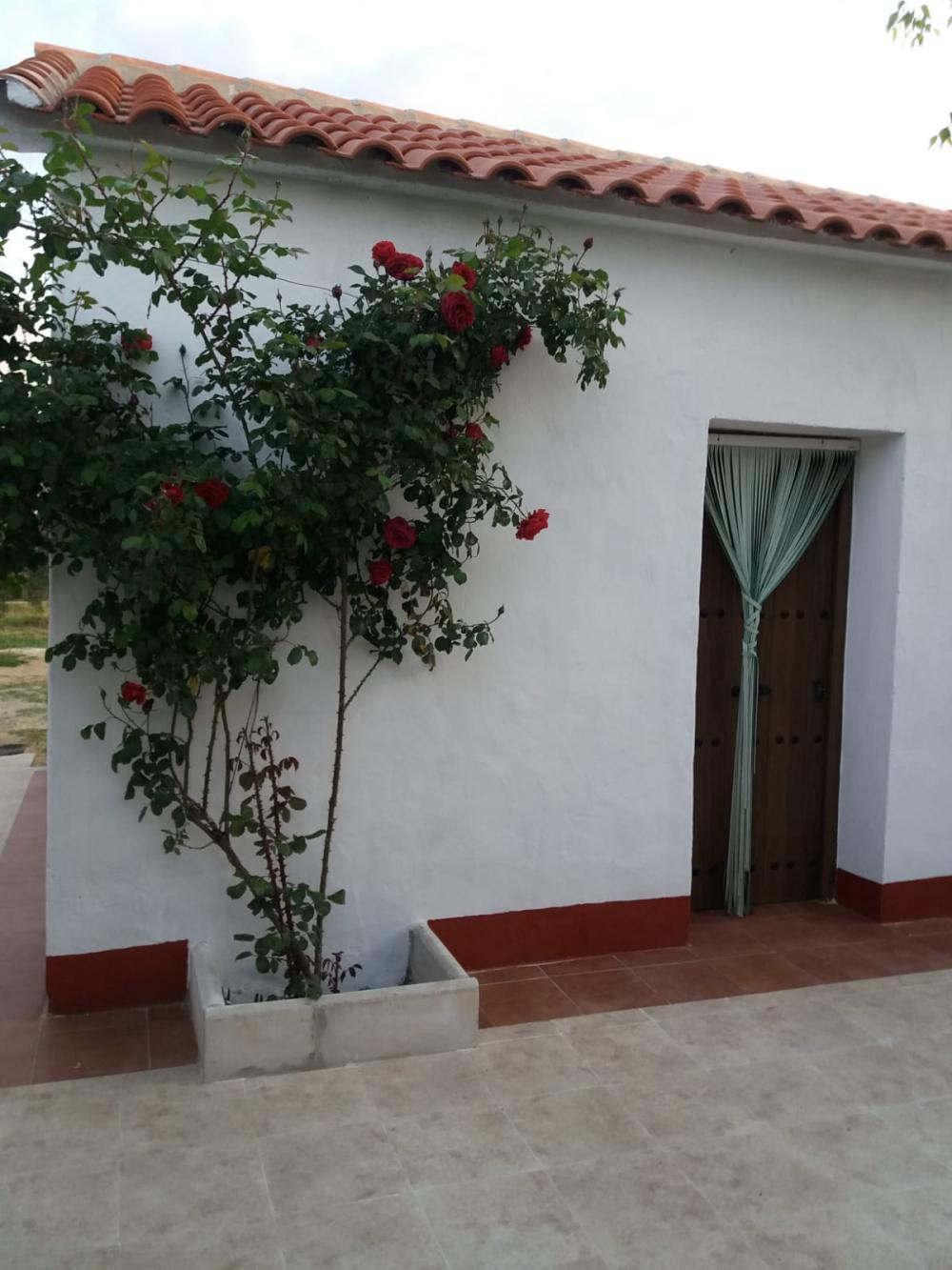  à vendre maison de campagne Espiel Valle Del Guadiato 2