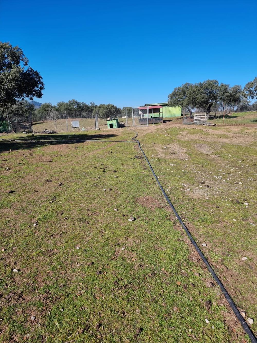  à vendre maison de campagne Pozoblanco Pedroches (Los) 20