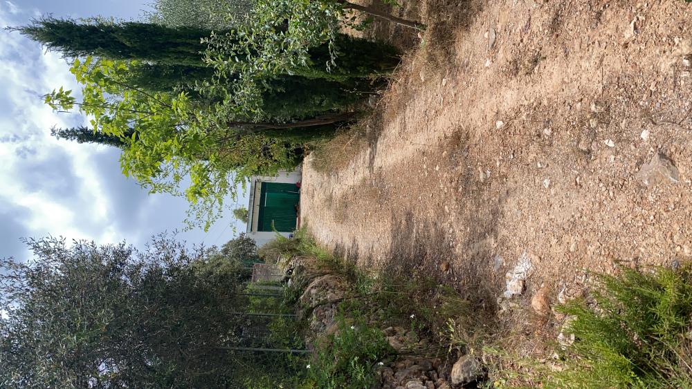  à vendre terrain Vilafamés Plana Alta 27