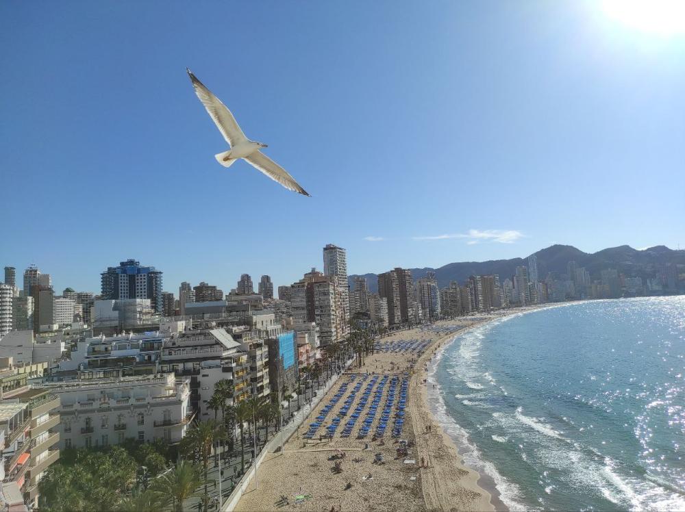  à vendre appartement Benidorm (Centro) Marina Baixa 1