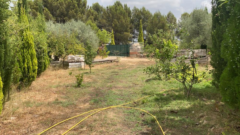  à vendre terrain Vilafamés Plana Alta 21