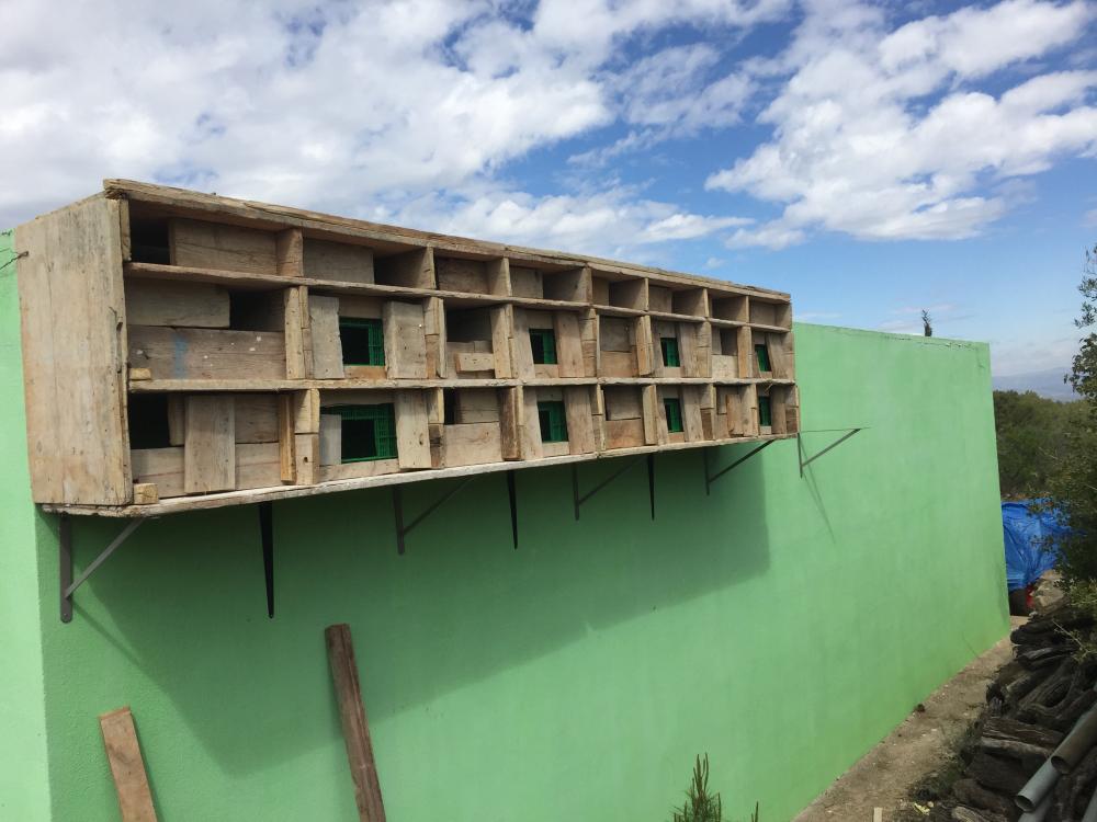  à vendre terrain Vilafamés Plana Alta 37