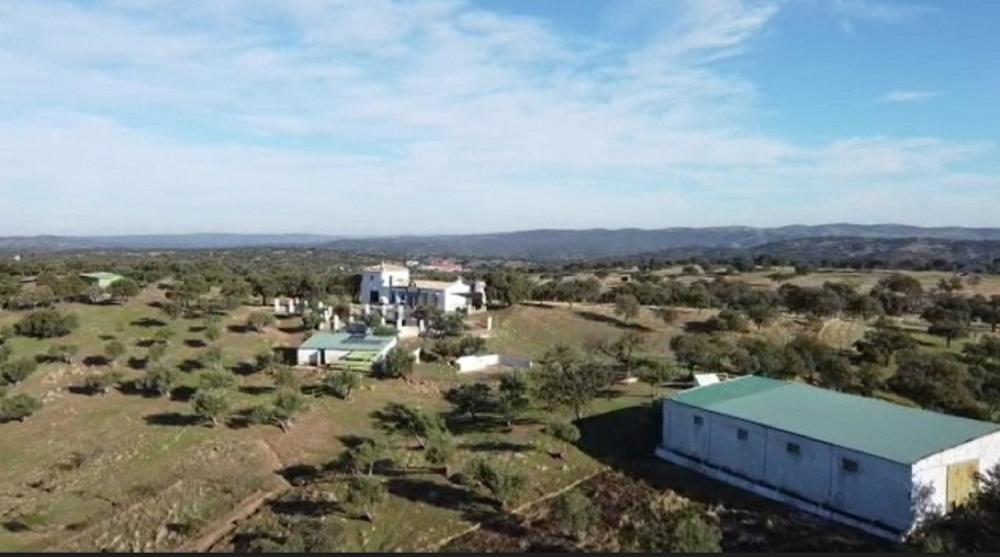 à vendre maison de campagne Pozoblanco Pedroches (Los) 2