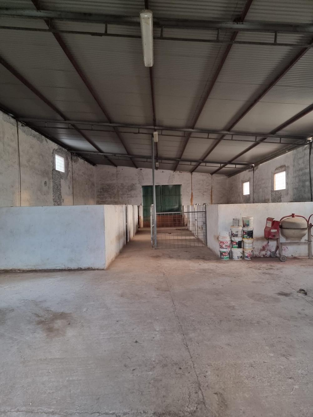 à vendre maison de campagne Pozoblanco Pedroches (Los) 19