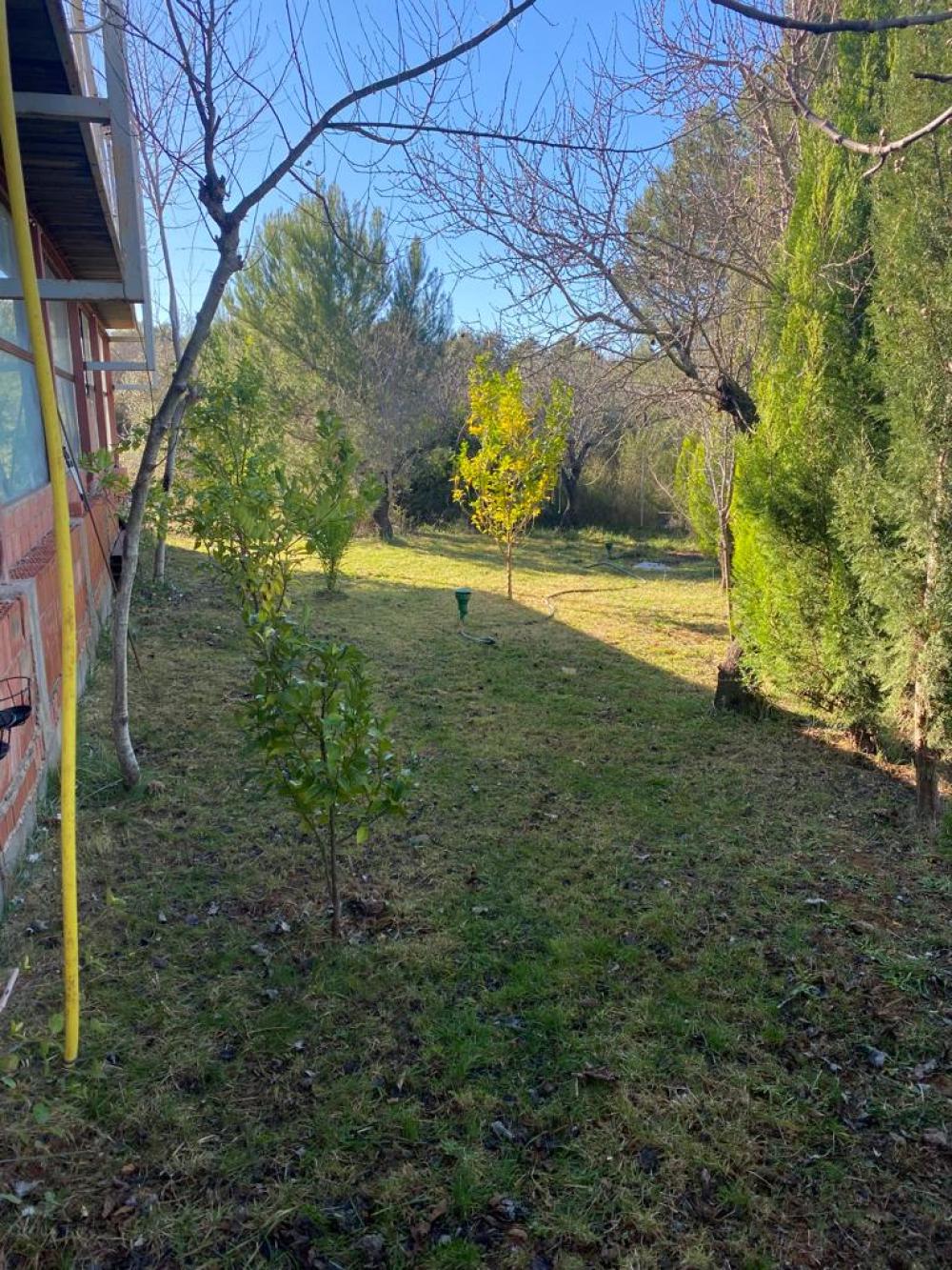  à vendre terrain Vilafamés Plana Alta 49
