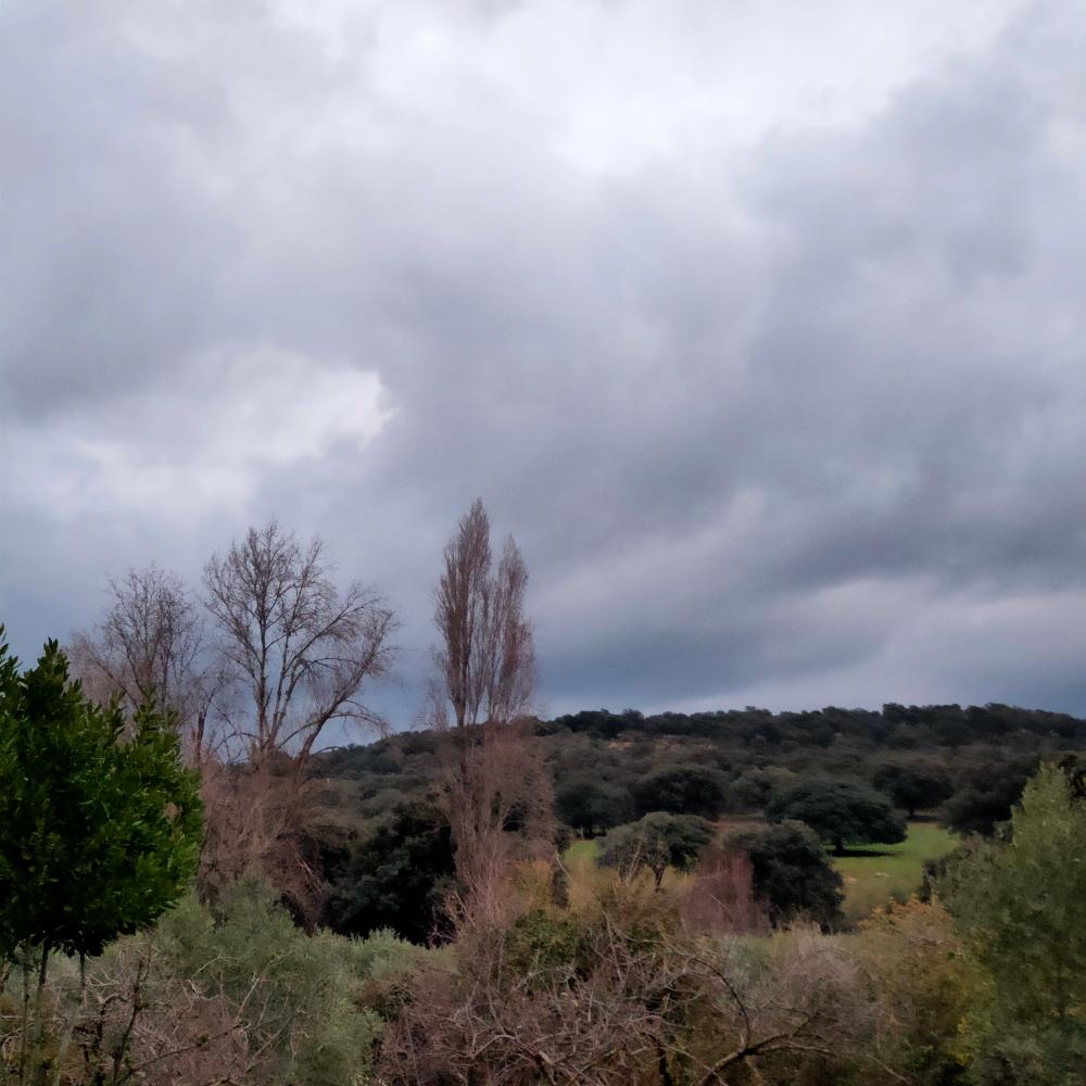  à vendre maison de campagne Espiel Valle Del Guadiato 17