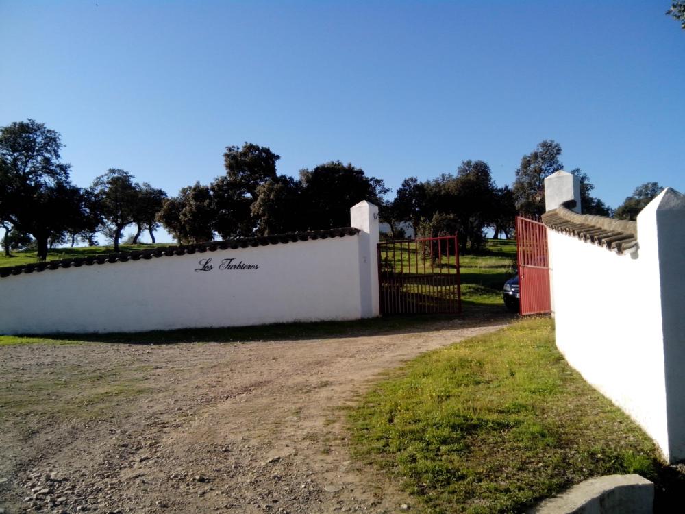  à vendre maison de campagne Pozoblanco Pedroches (Los) 4
