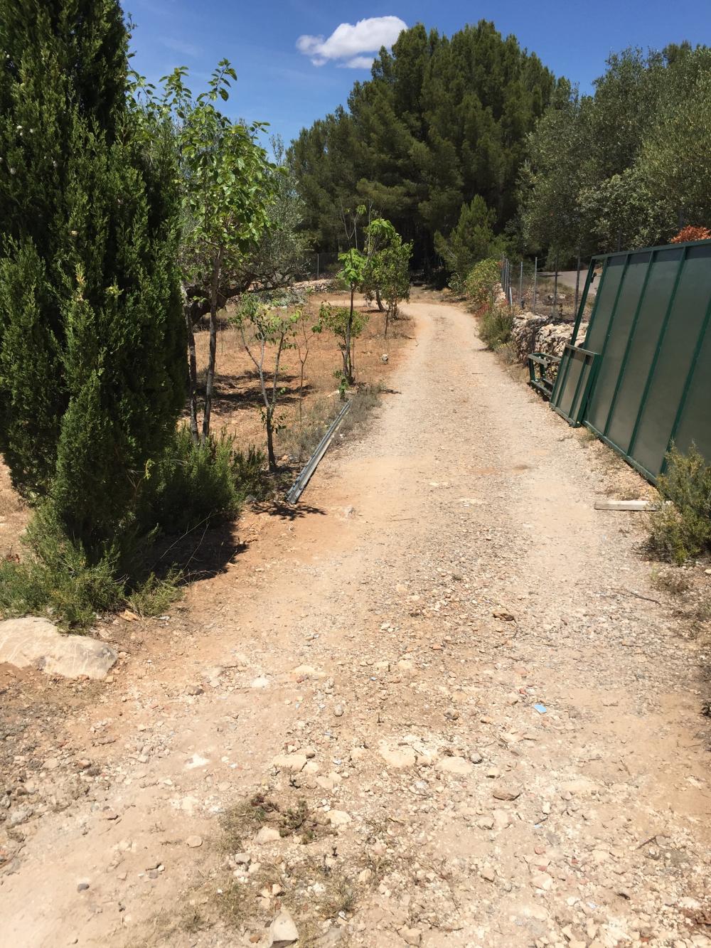  à vendre terrain Vilafamés Plana Alta 39